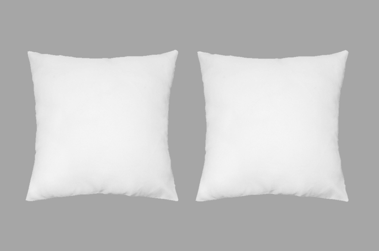 Cushion Filler (20*20 Inches) Set of 2 Pc